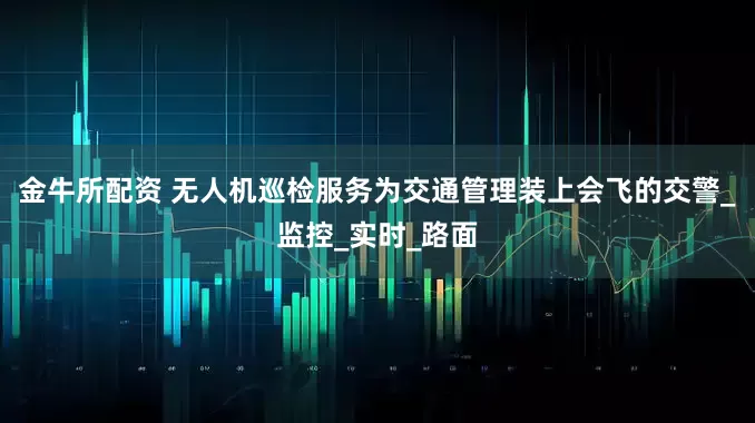 金牛所配资 无人机巡检服务为交通管理装上会飞的交警_监控_实时_路面
