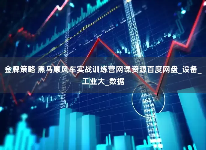 金牌策略 黑马顺风车实战训练营网课资源百度网盘_设备_工业大_数据