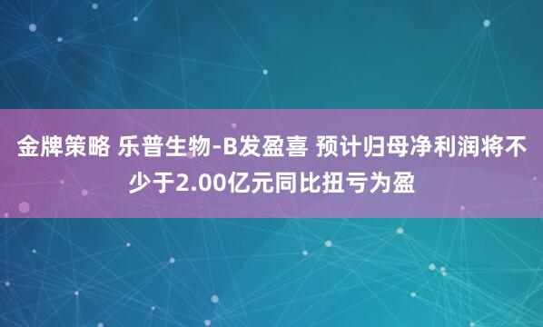 金牌策略 乐普生物-B发盈喜 预计归母净利润将不少于2.00亿元同比扭亏为盈